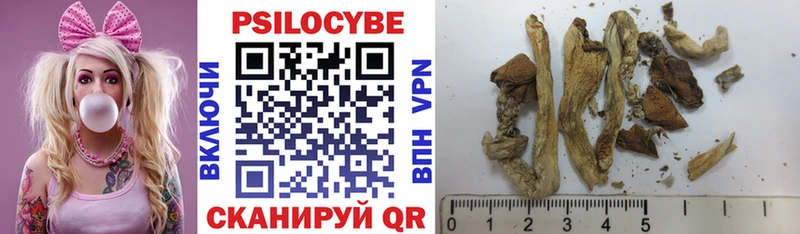 где продают наркотики  hydra ССЫЛКА  Галлюциногенные грибы Psilocybine cubensis  Малаховка 